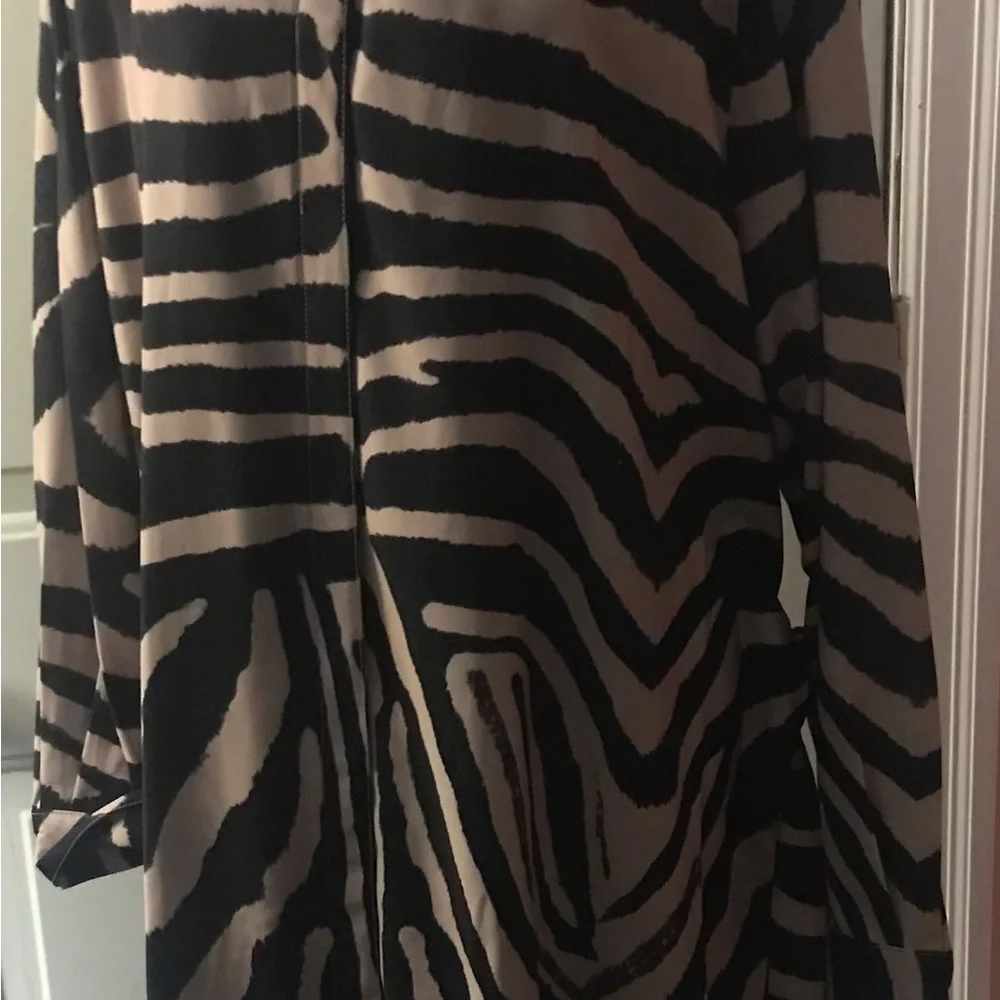 ⭐️Host pick⭐️DG2 animal print dress  with hidden front button closure - Picture 6 of 9